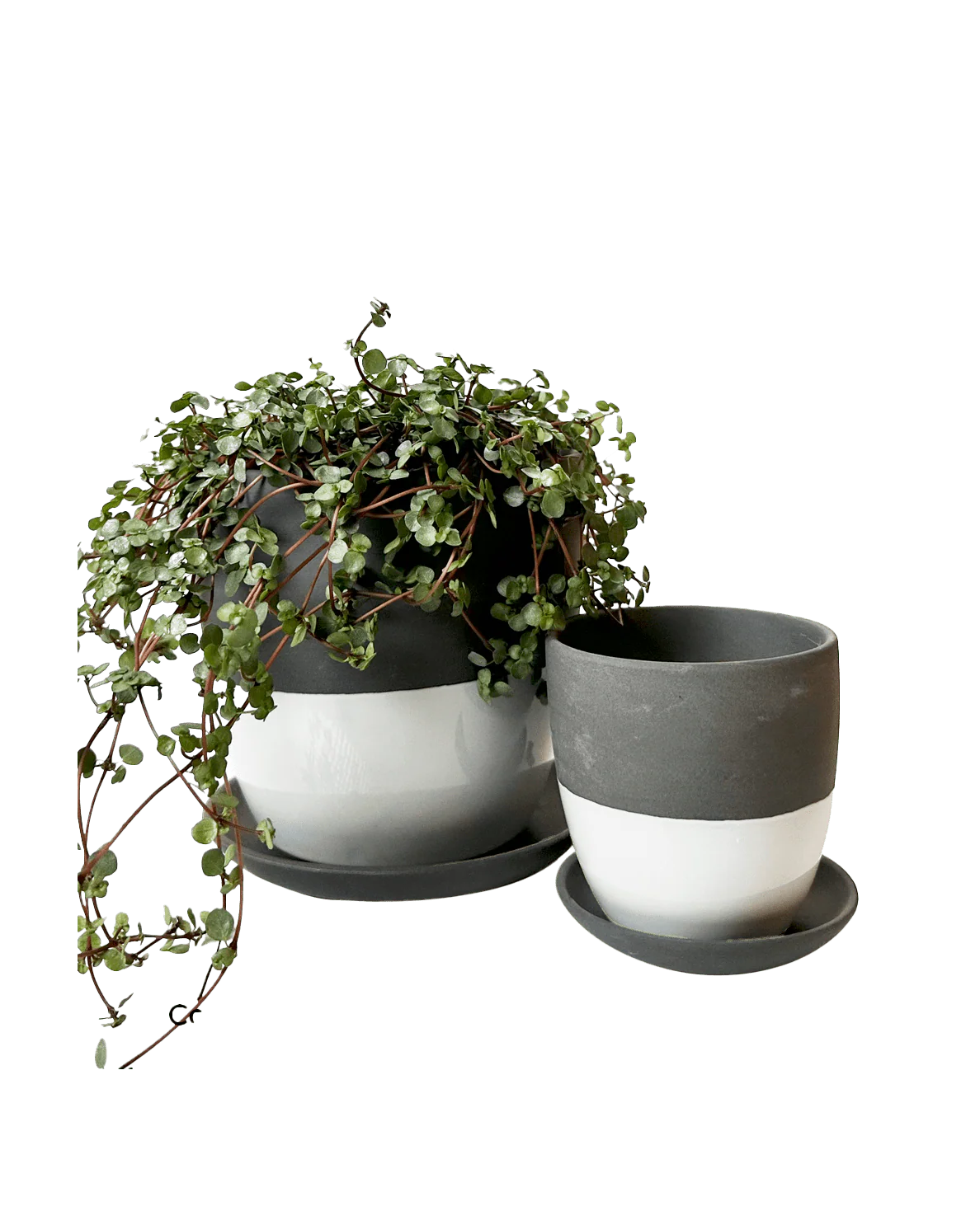 Dyad Medium Porcelain Plant Pot - Image 3