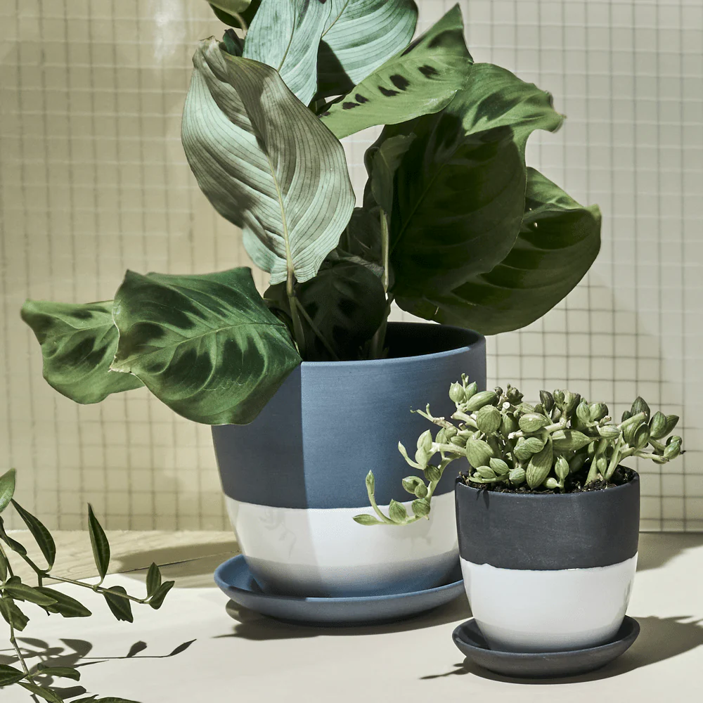 Dyad Medium Porcelain Plant Pot - Image 6