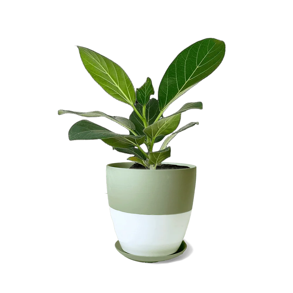 Dyad Medium Porcelain Plant Pot - Image 8
