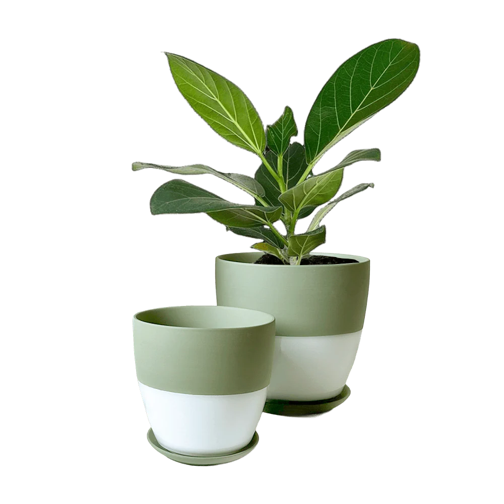 Dyad Medium Porcelain Plant Pot - Image 9