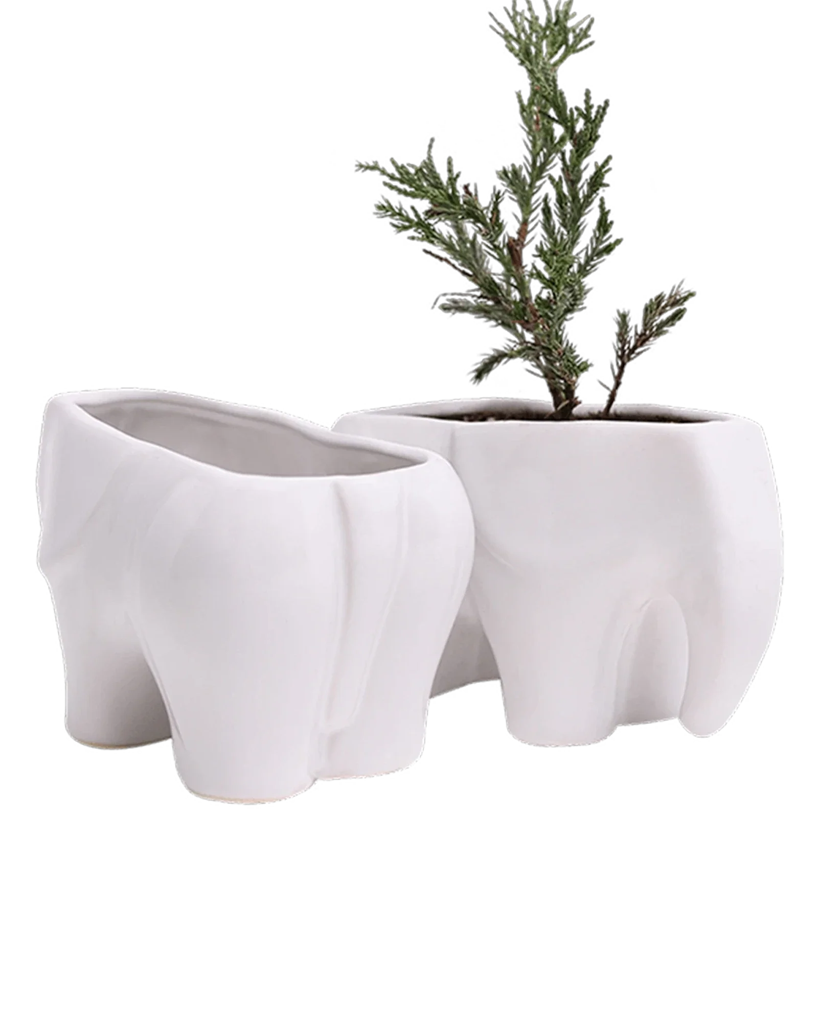 Elephant Ceramic Indoor Plant Pot For Succulents - Image 14