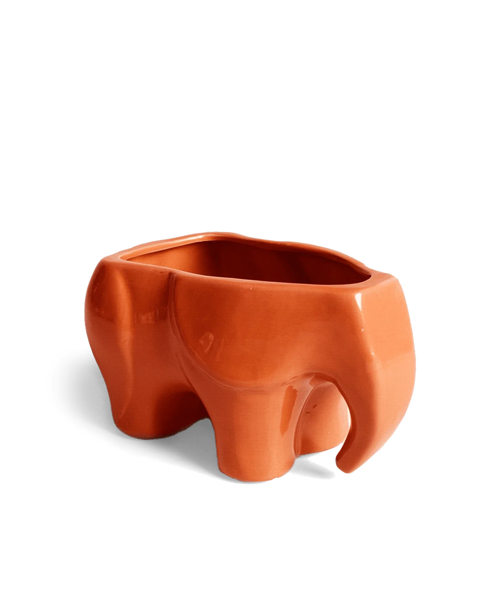 Elephant Ceramic Indoor Plant Pot For Succulents - Image 17