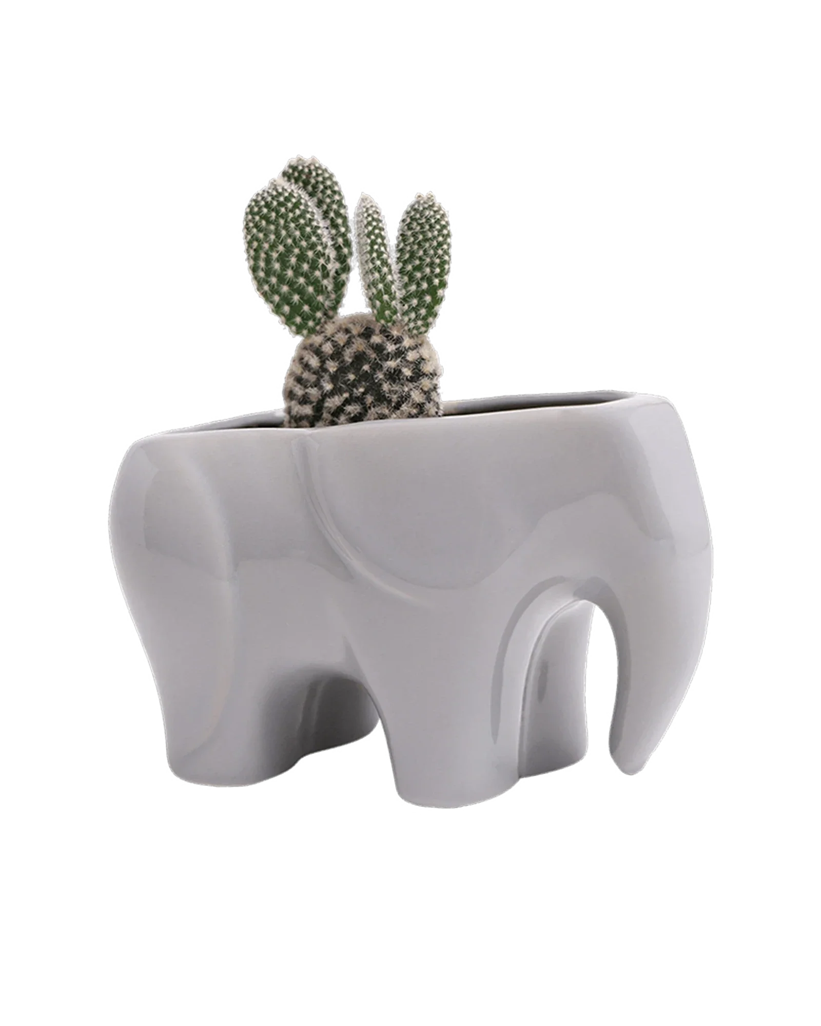 Elephant Ceramic Indoor Plant Pot For Succulents - Image 4