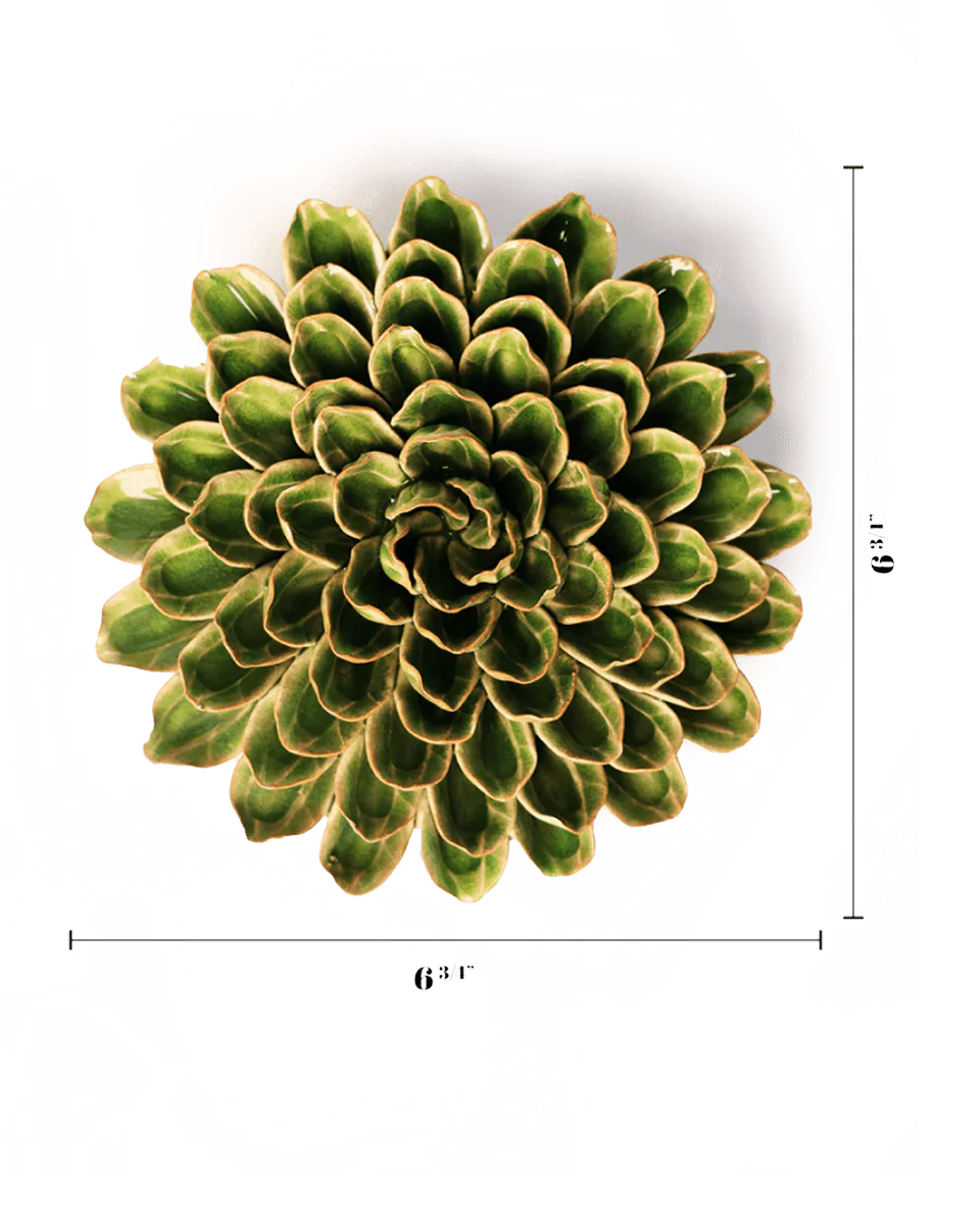 Avocado Green Unicorn Zinnia - Image 3