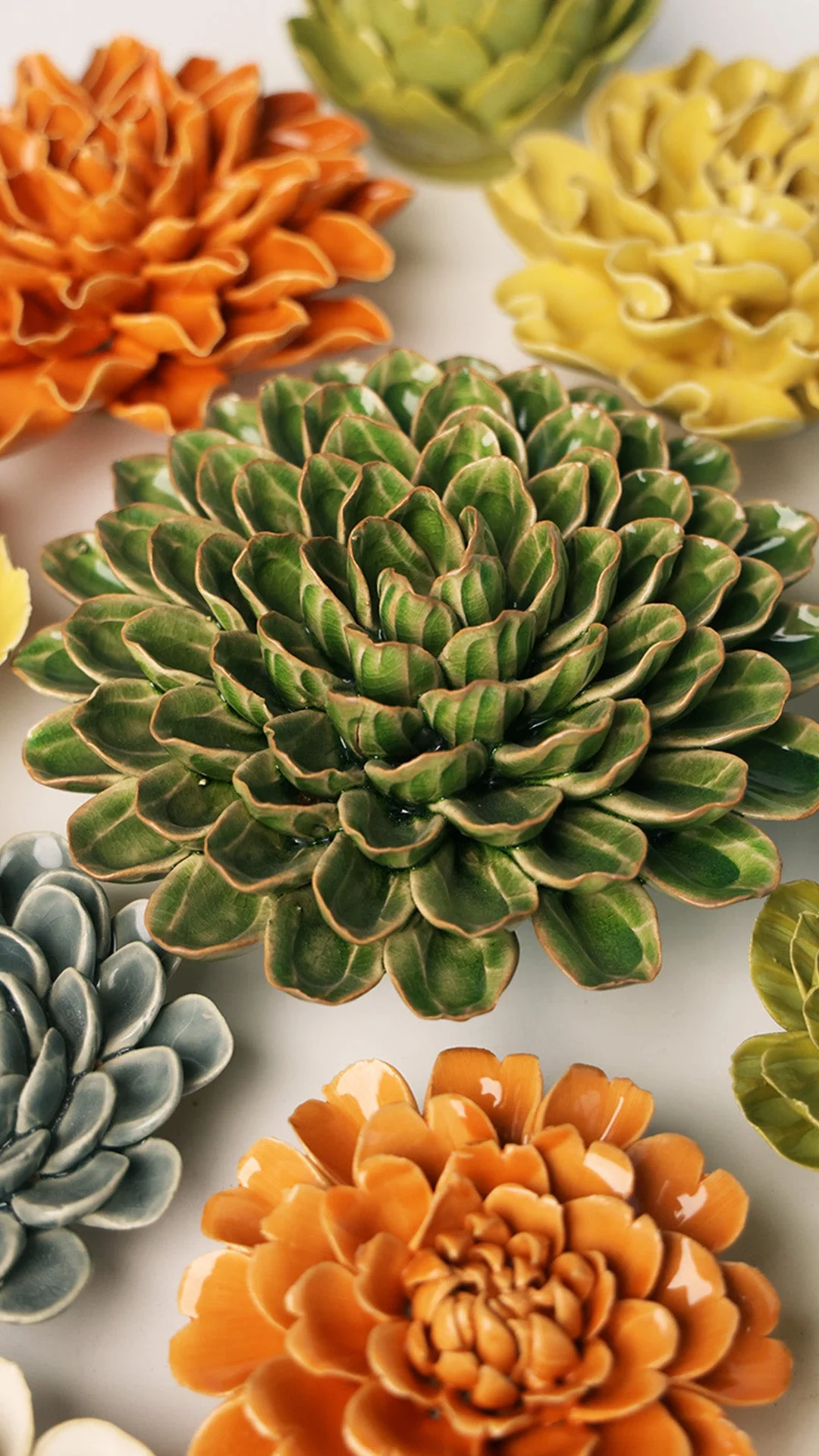 Avocado Green Unicorn Zinnia - Image 4