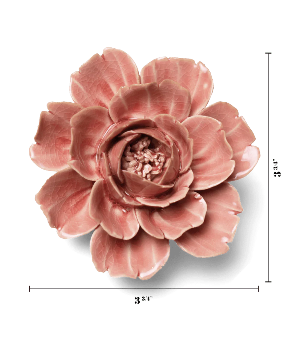 Champagne Pink Rose - Image 3