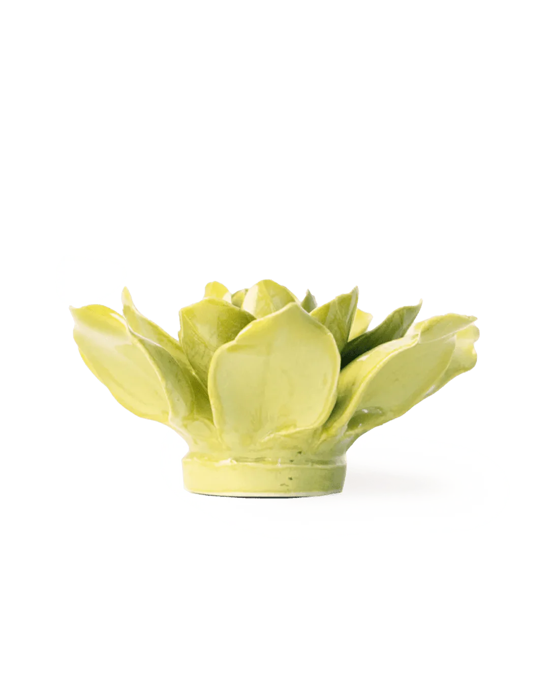 Chartreuse Columbine - Image 2