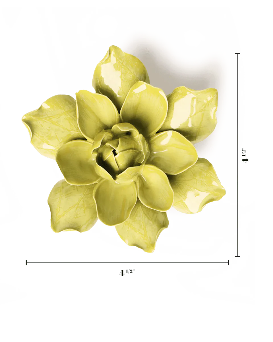 Chartreuse Columbine - Image 3
