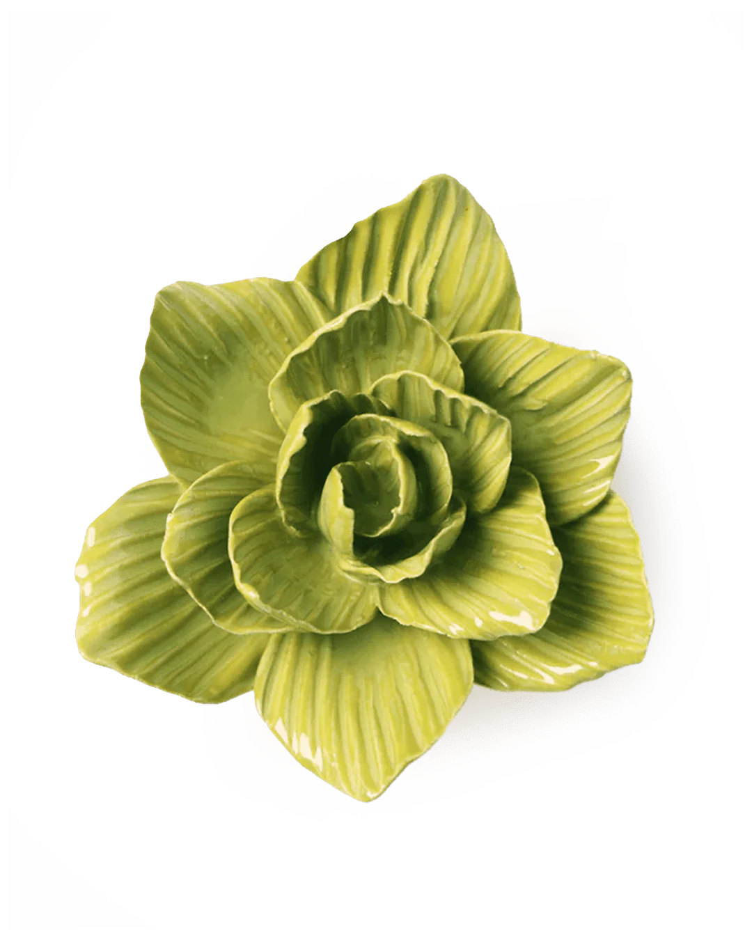 Chartreuse Gladiolus - Image 2
