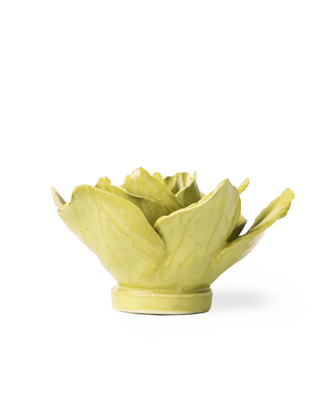 Chartreuse Gladiolus - Image 3