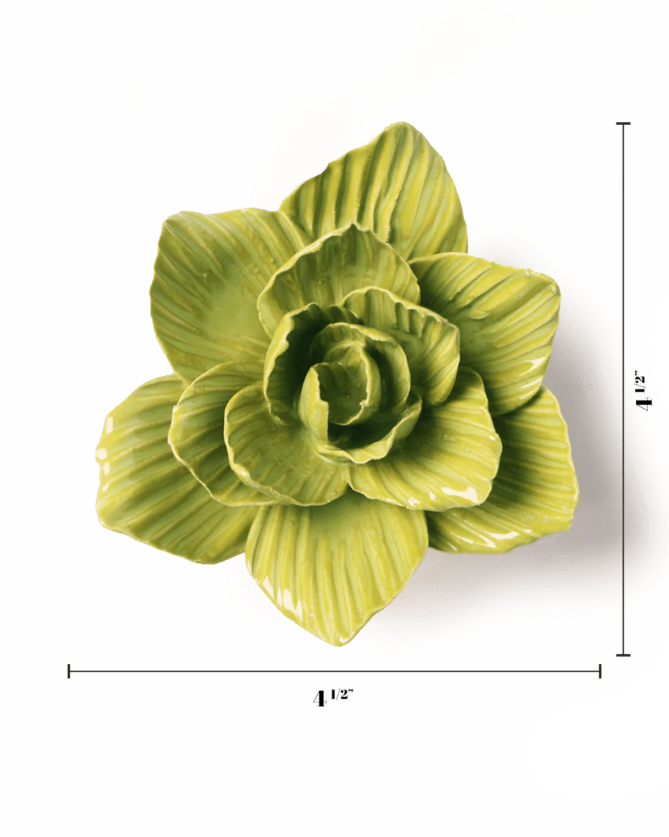 Chartreuse Gladiolus - Image 4