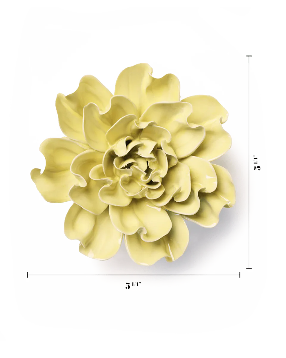 Lime Yellow Larkspur - Image 3
