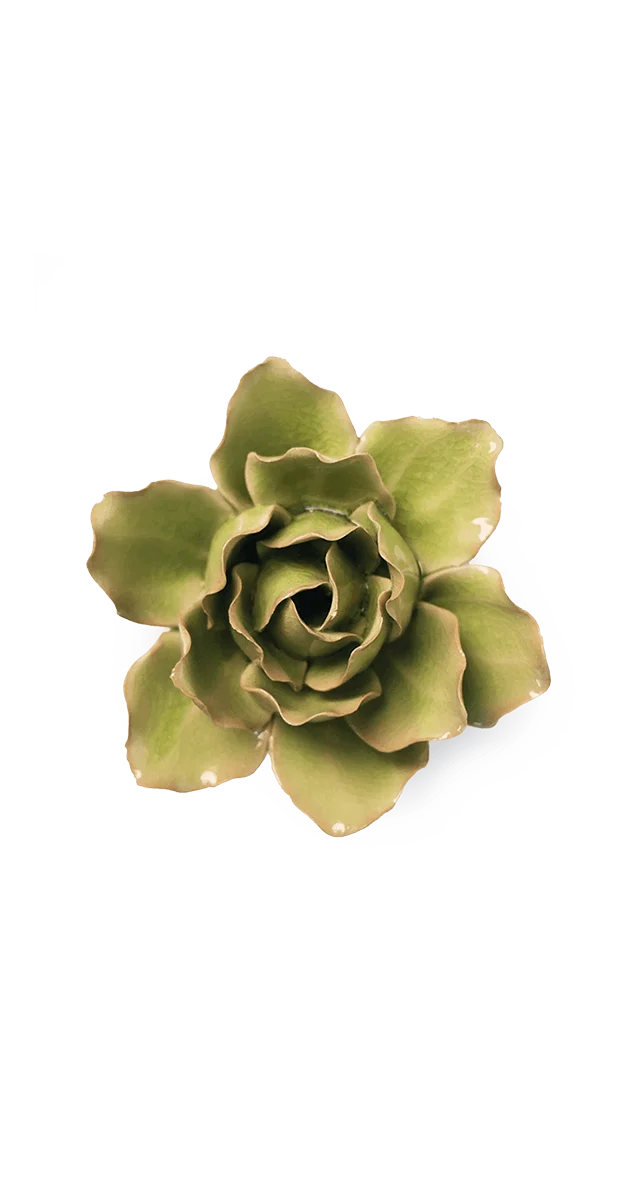 Peridot Stargazer Lily