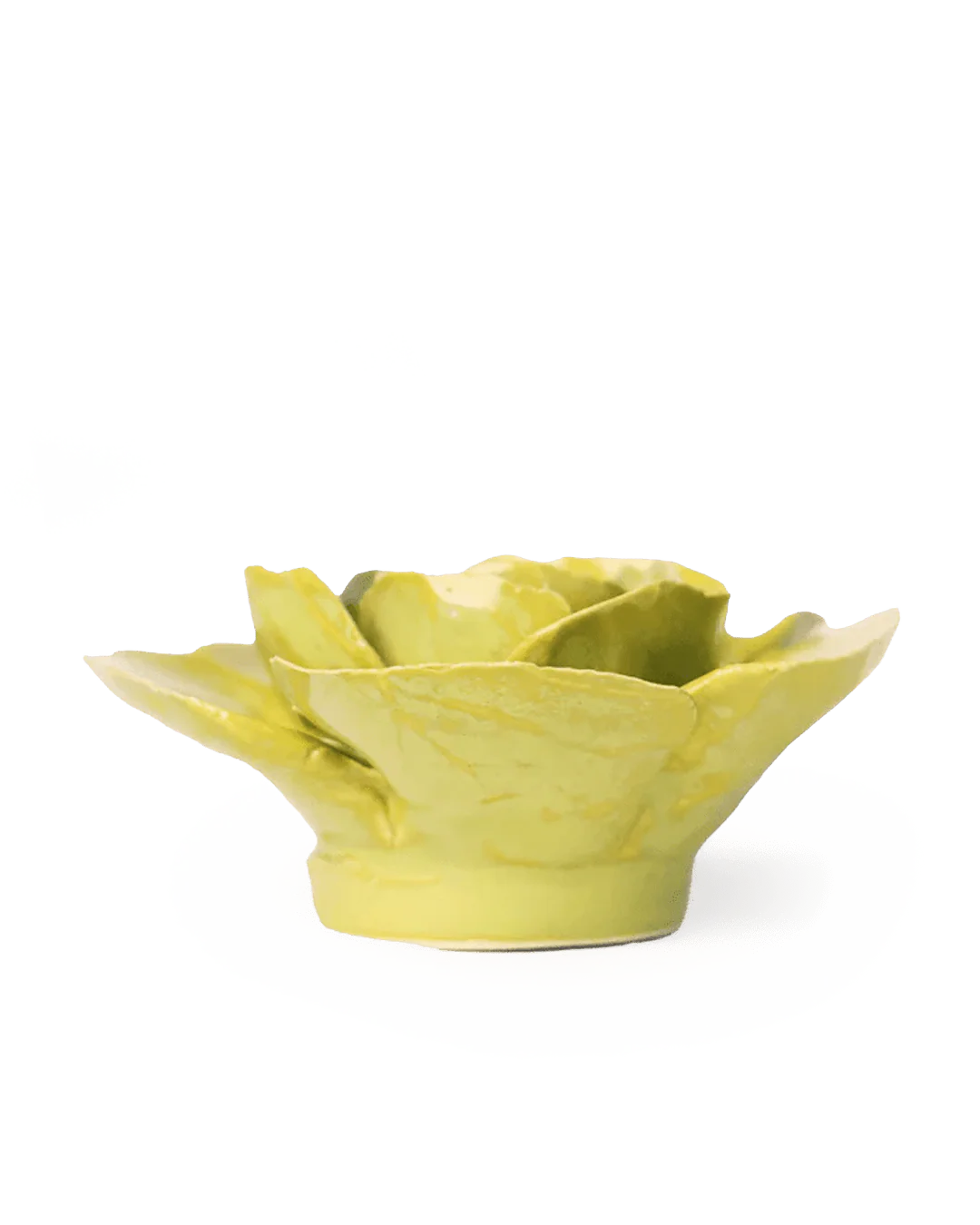 Peridot Stargazer Lily - Image 2