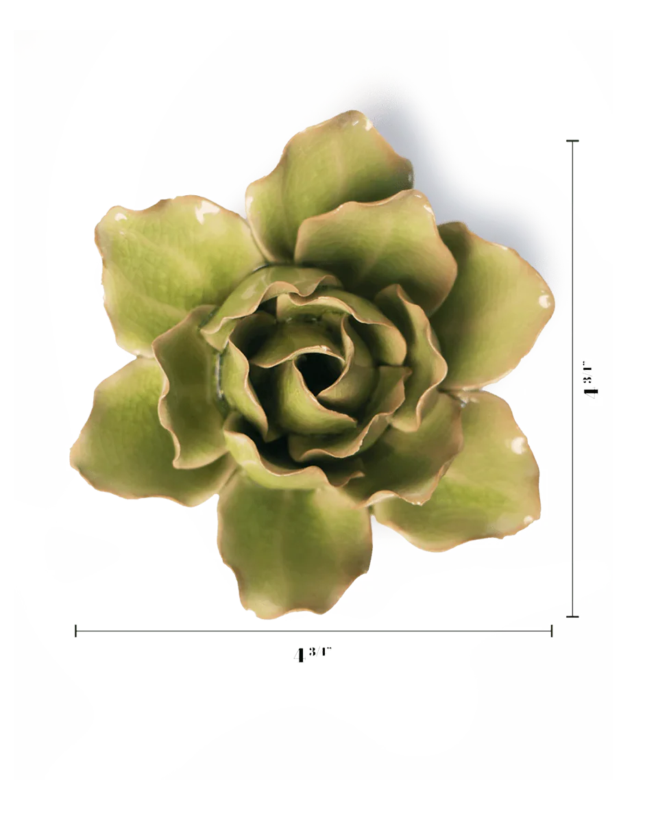 Peridot Stargazer Lily - Image 3