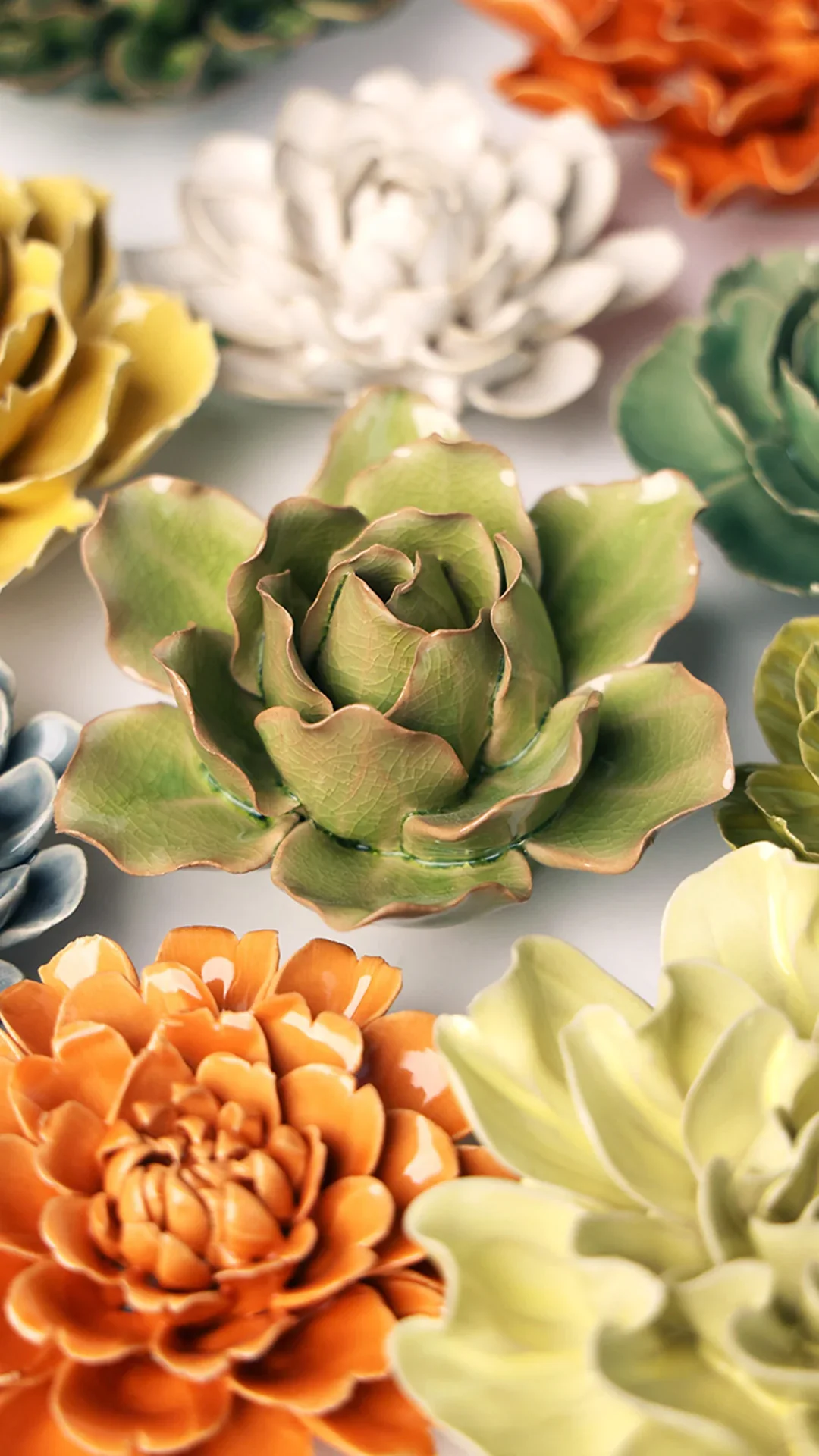 Peridot Stargazer Lily - Image 4