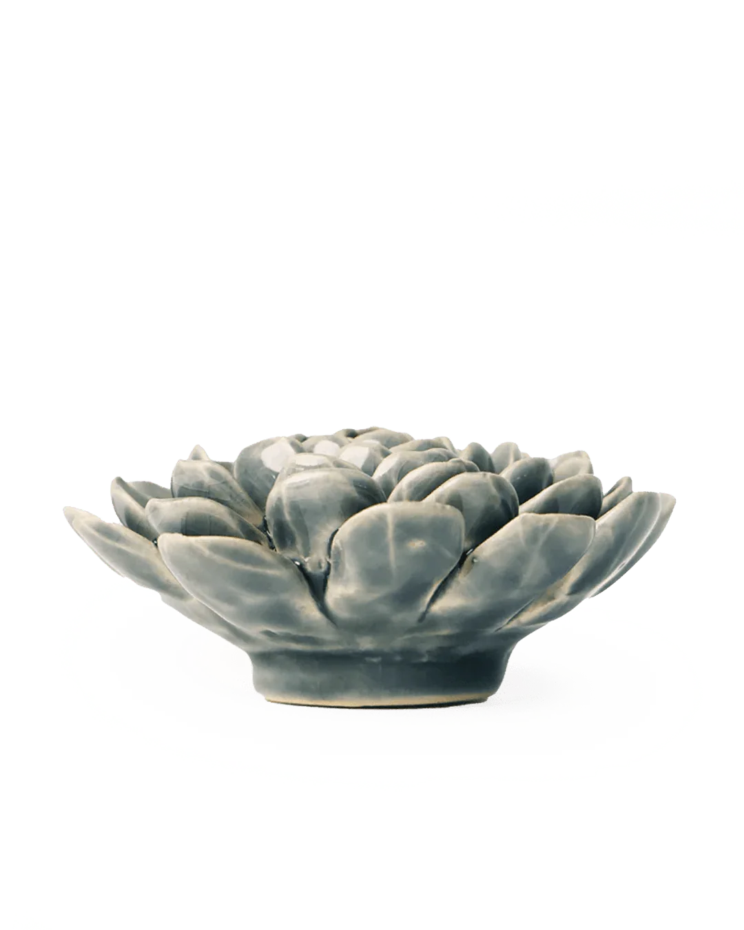 Pewter Blue Zinderella Zinnia - Image 3