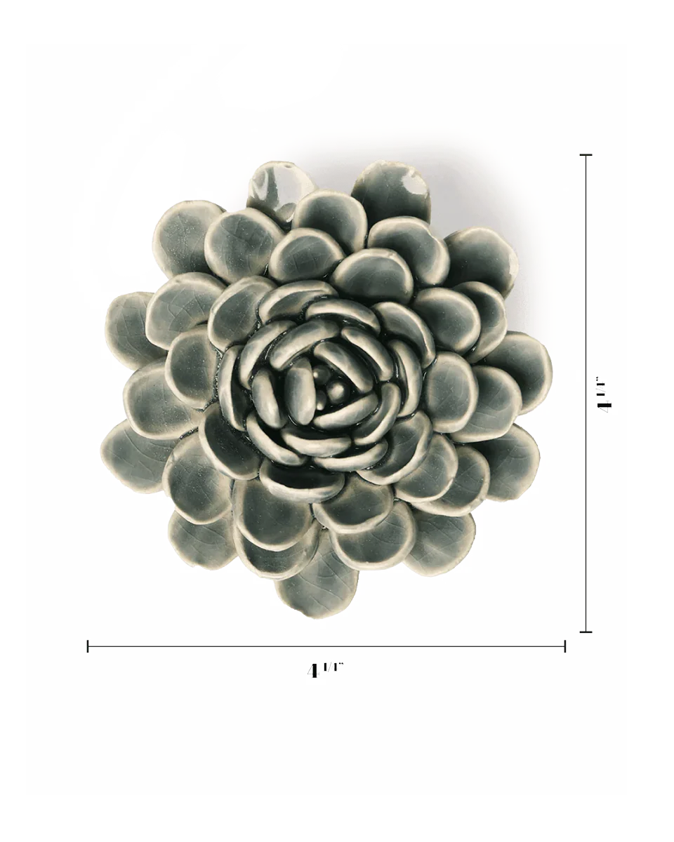 Pewter Blue Zinderella Zinnia - Image 4