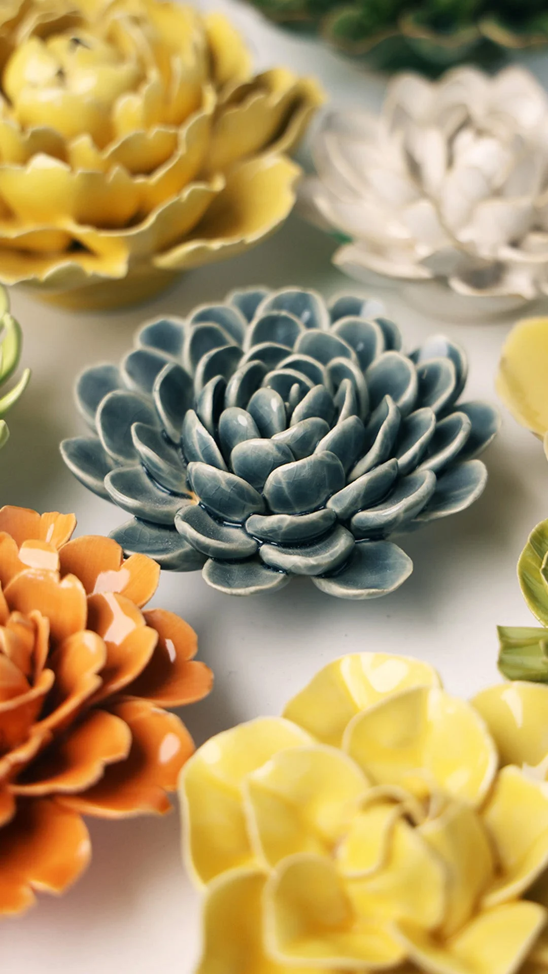Pewter Blue Zinderella Zinnia - Image 5