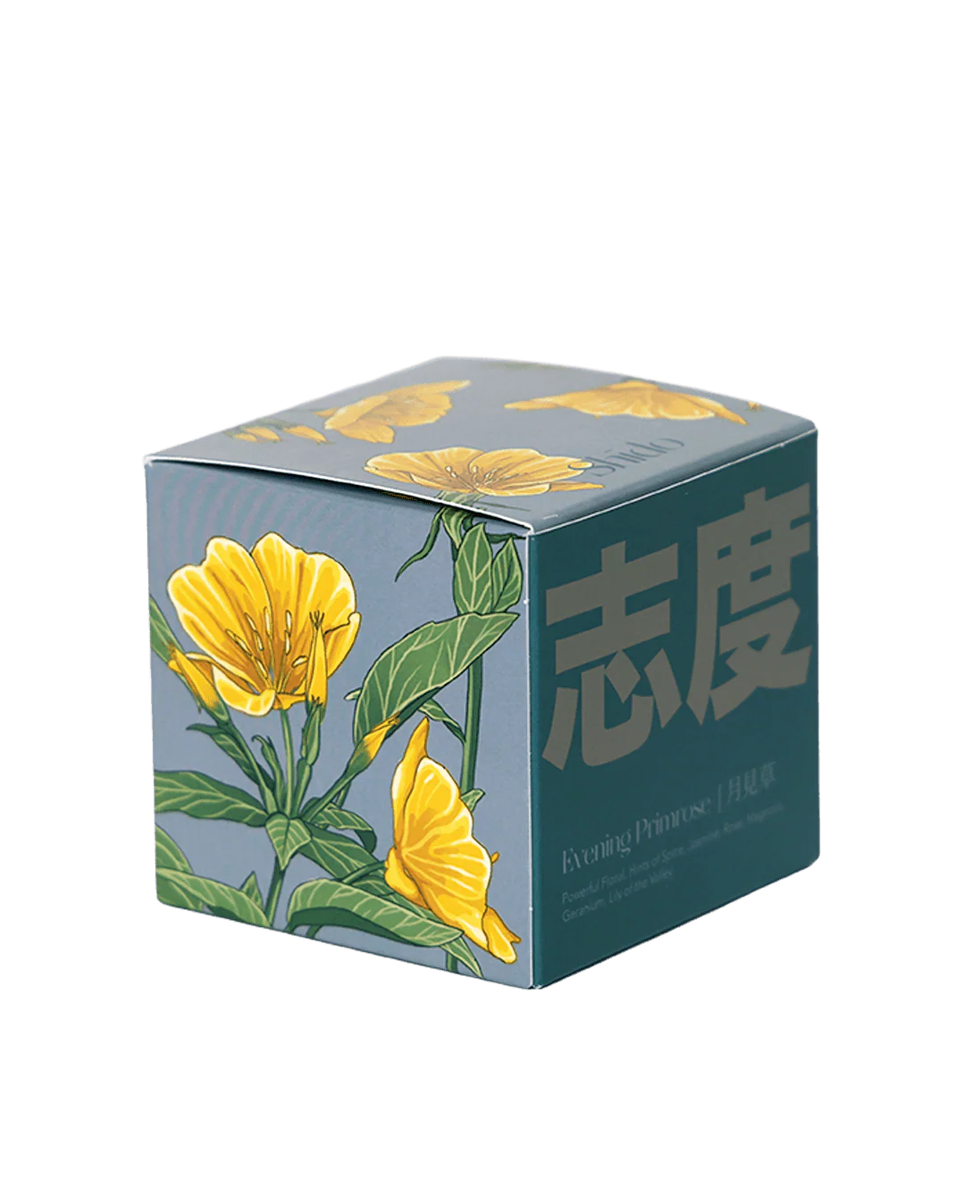 Evening Primrose - Image 3