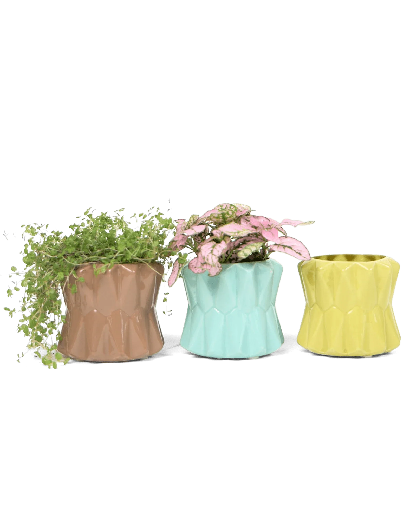 Fang Ceramic Modern Planter For Succulents | 3.5 inch - Image 3