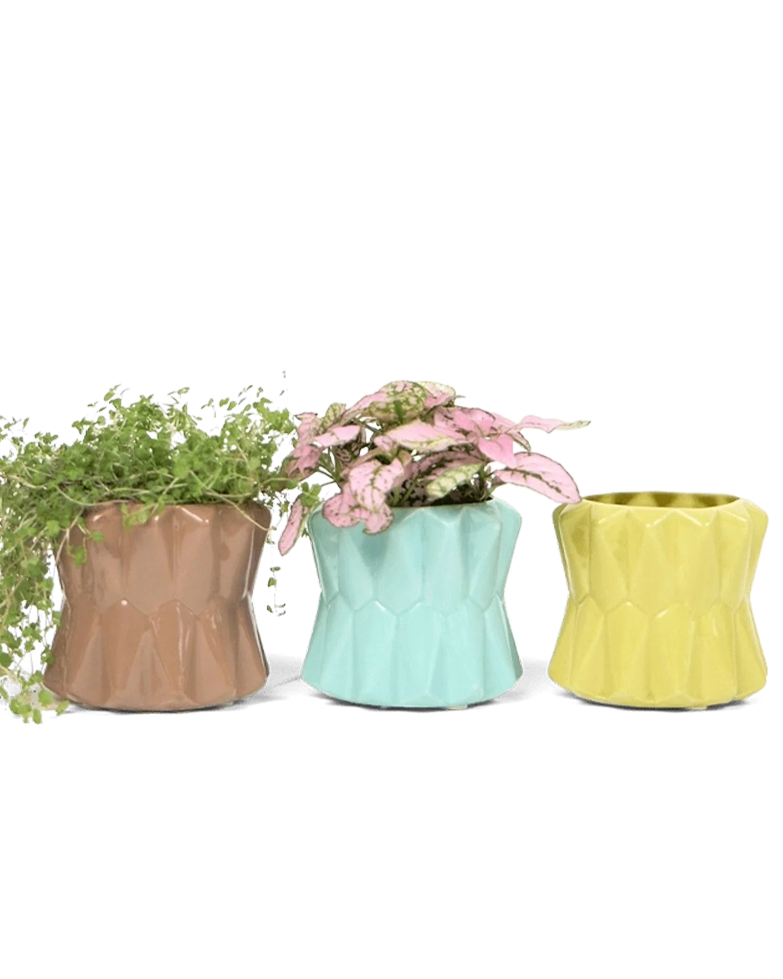 Fang Ceramic Modern Planter For Succulents | 3.5 inch - Image 5