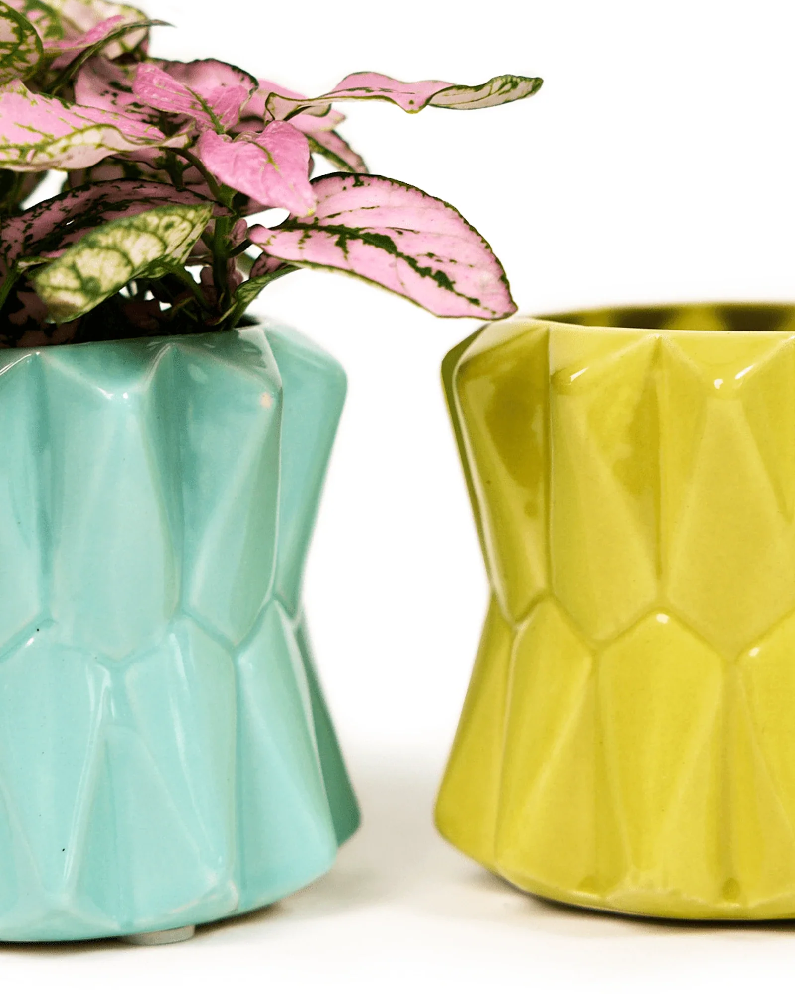 Fang Ceramic Modern Planter For Succulents | 3.5 inch - Image 7