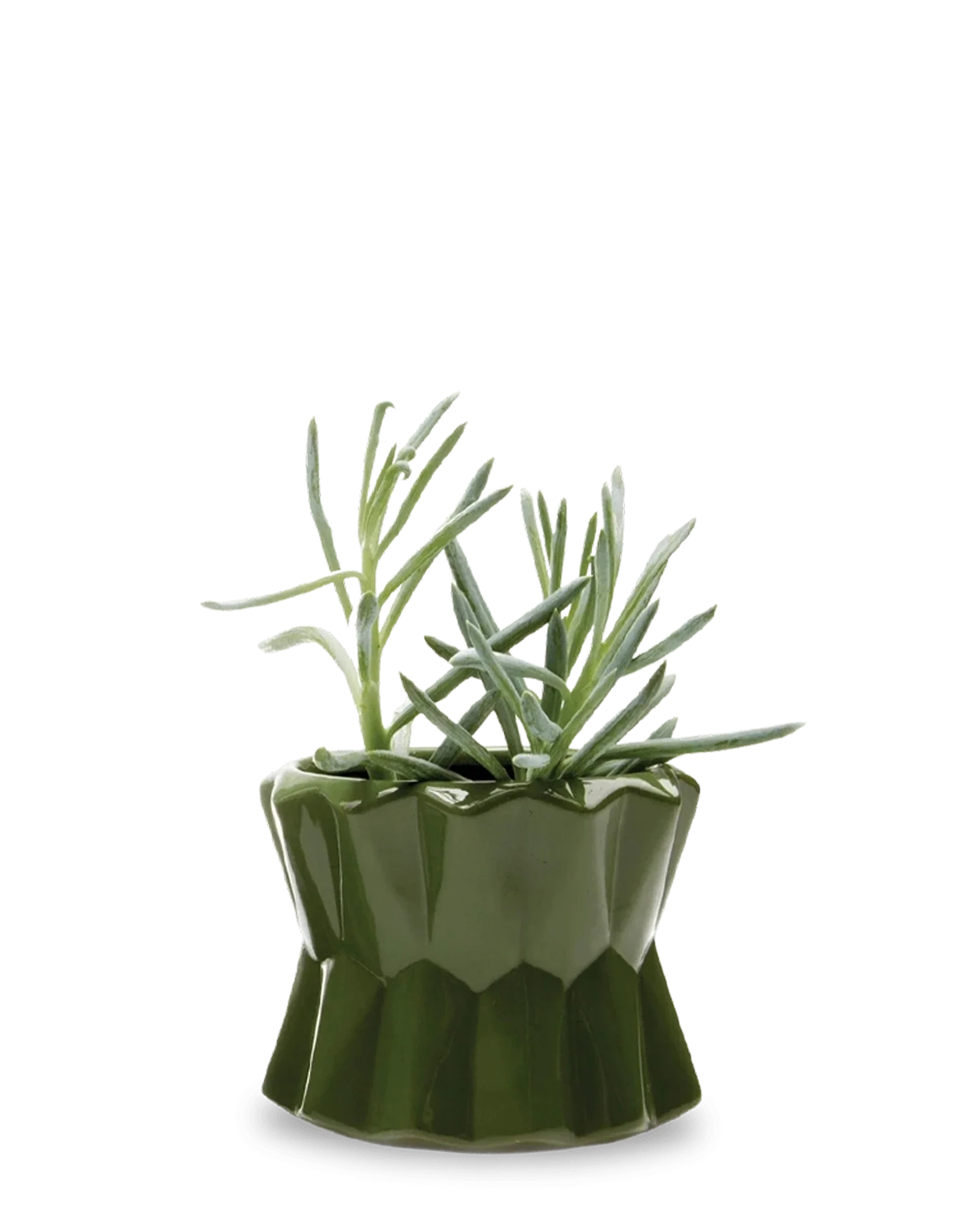 Fang Ceramic Modern Planter For Succulents | 4.5 inch