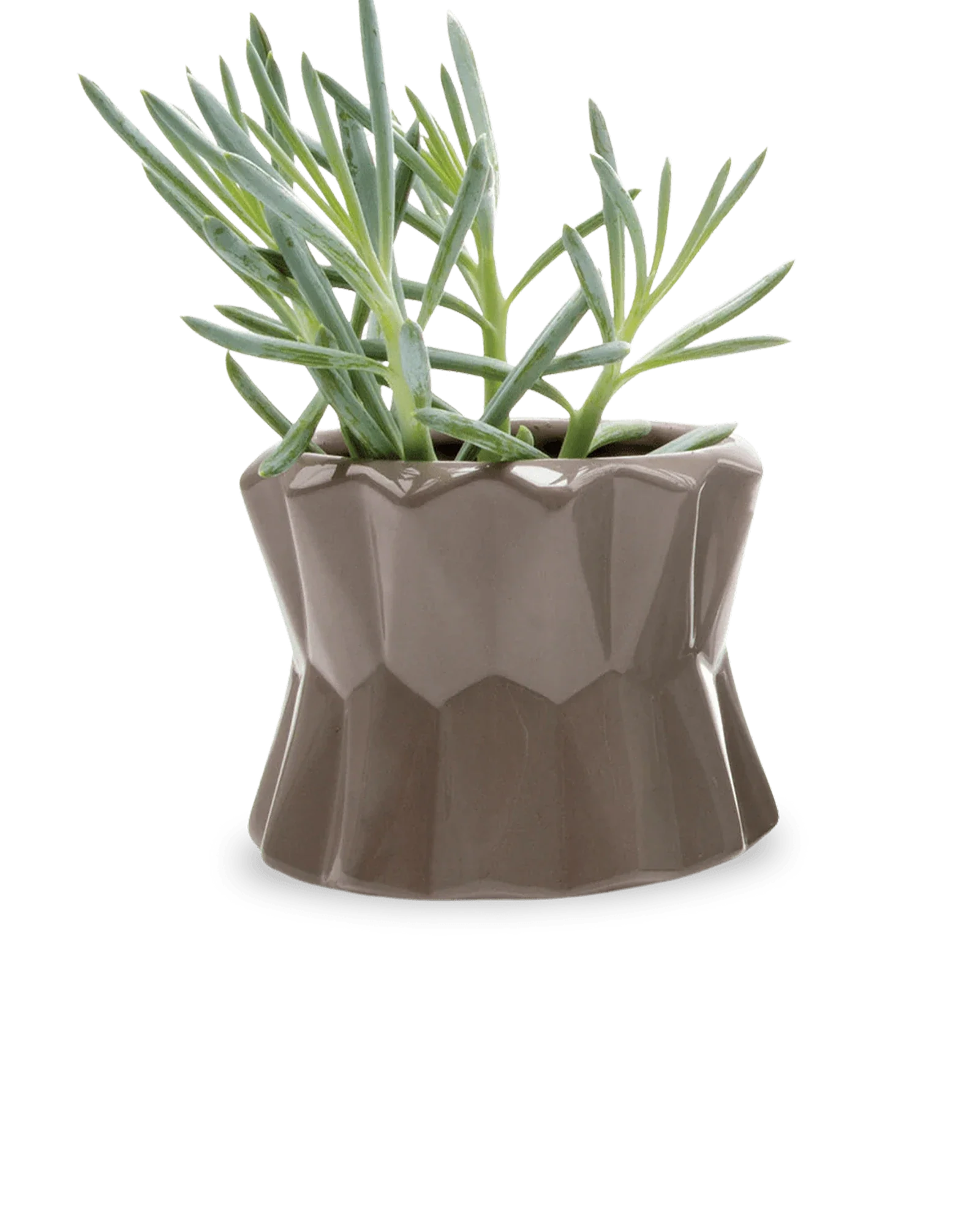 Fang Ceramic Modern Planter For Succulents | 4.5 inch - Image 3