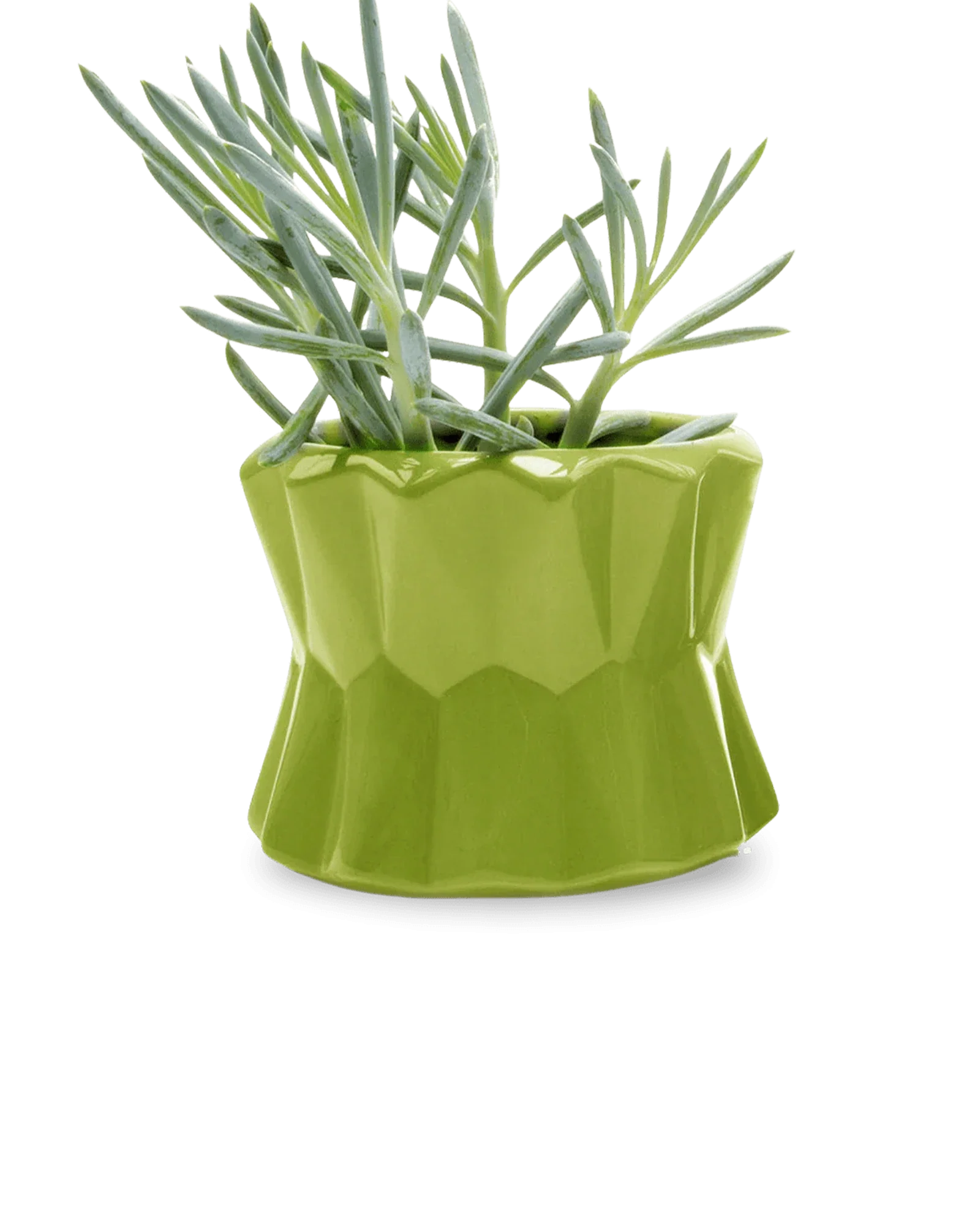 Fang Ceramic Modern Planter For Succulents | 4.5 inch - Image 4