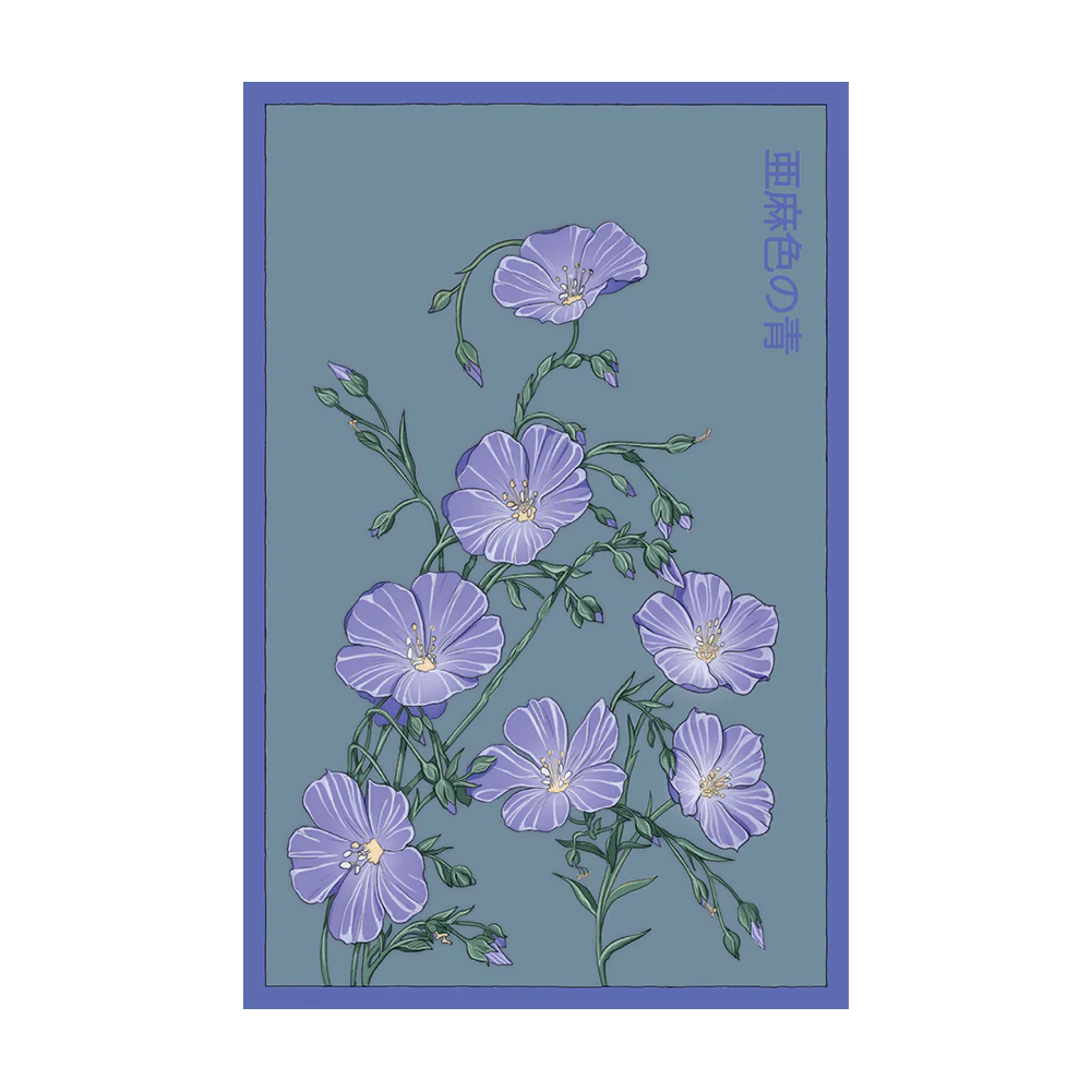 Flax Blue Flower Seeds Packet