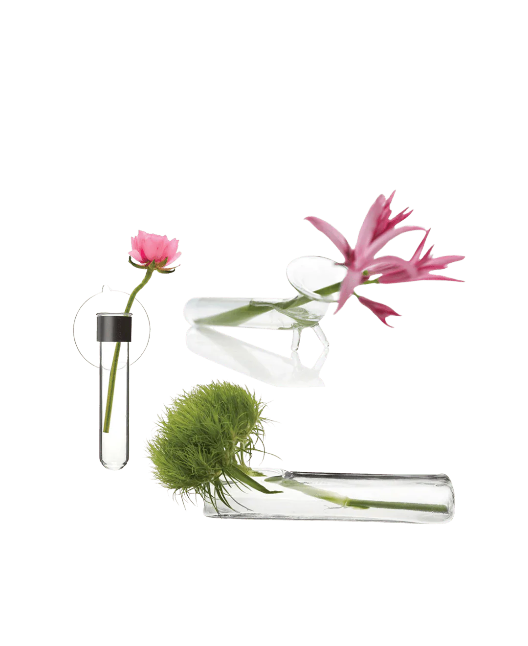 Test Tube Glass Modern Clear Flower Vase - Image 2