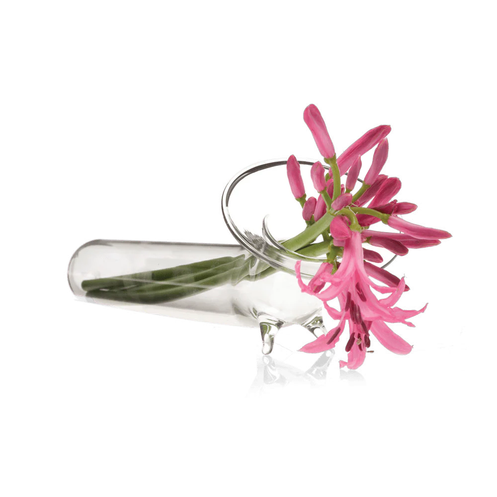 Test Tube Glass Modern Clear Flower Vase - Image 3
