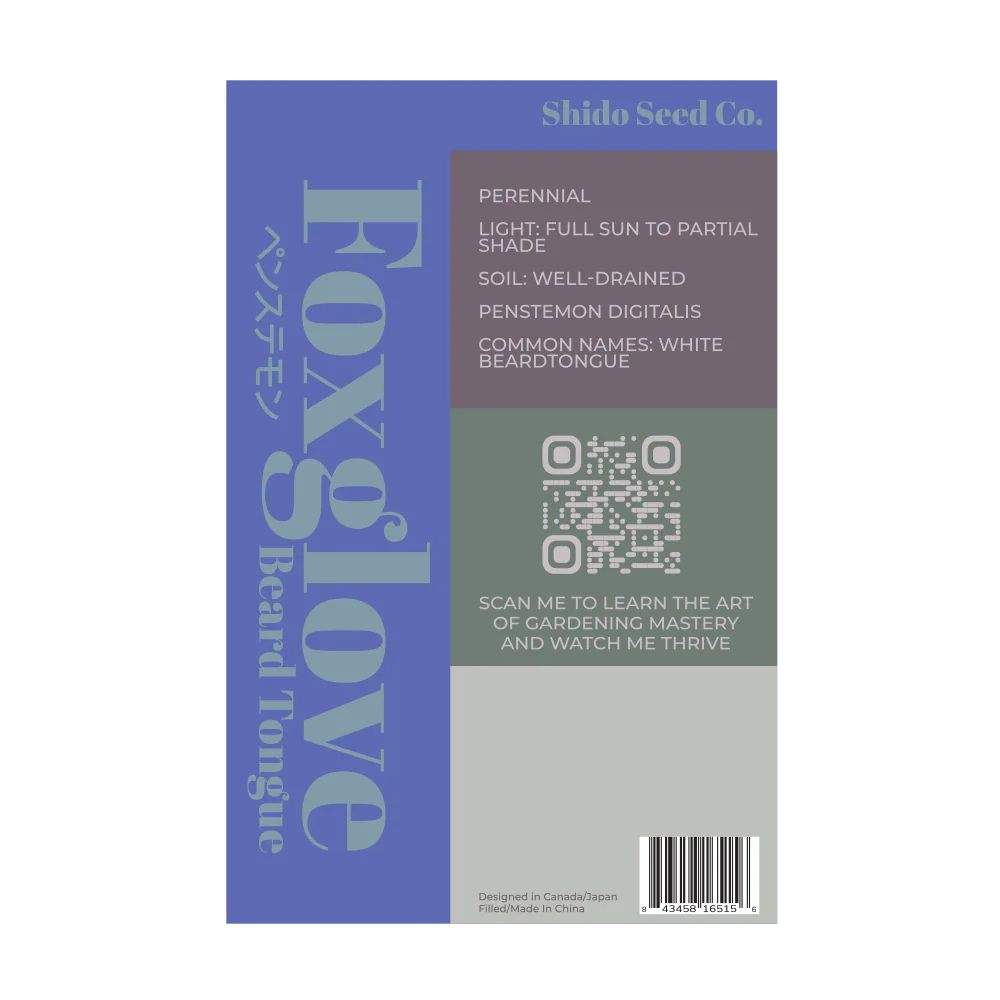 Foxglove Beard Tongue Flower Seeds Packet - Image 2