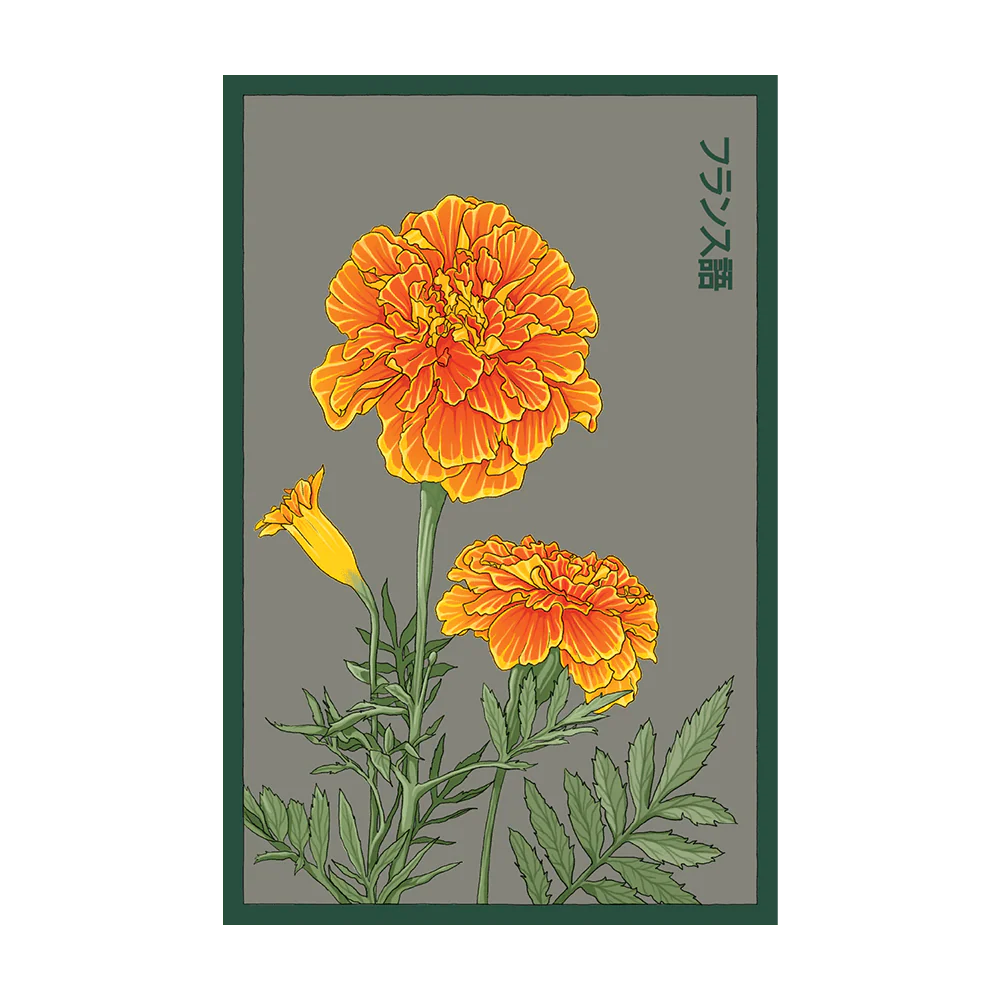 French Marigold Flower Seeds Packet
