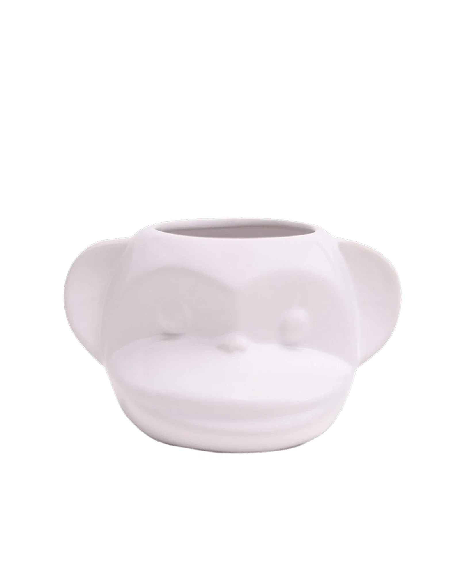 Funky Monkey Planter - Image 12