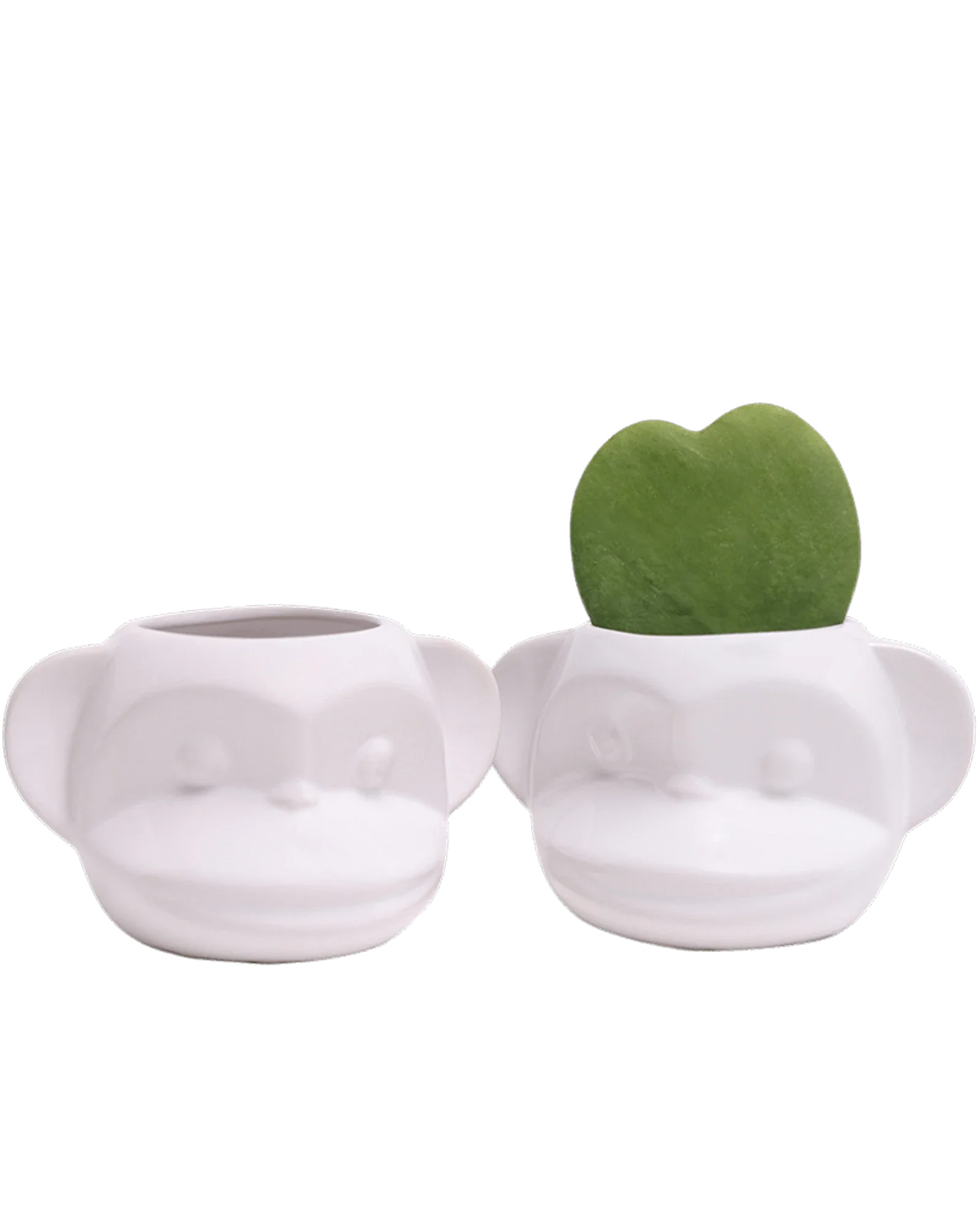 Funky Monkey Planter - Image 15
