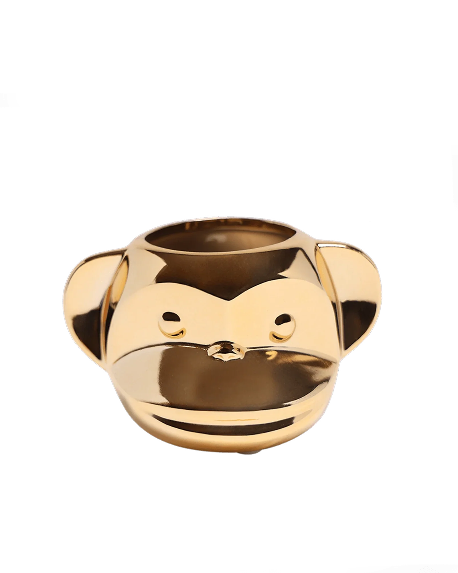 Funky Monkey Planter - Image 17
