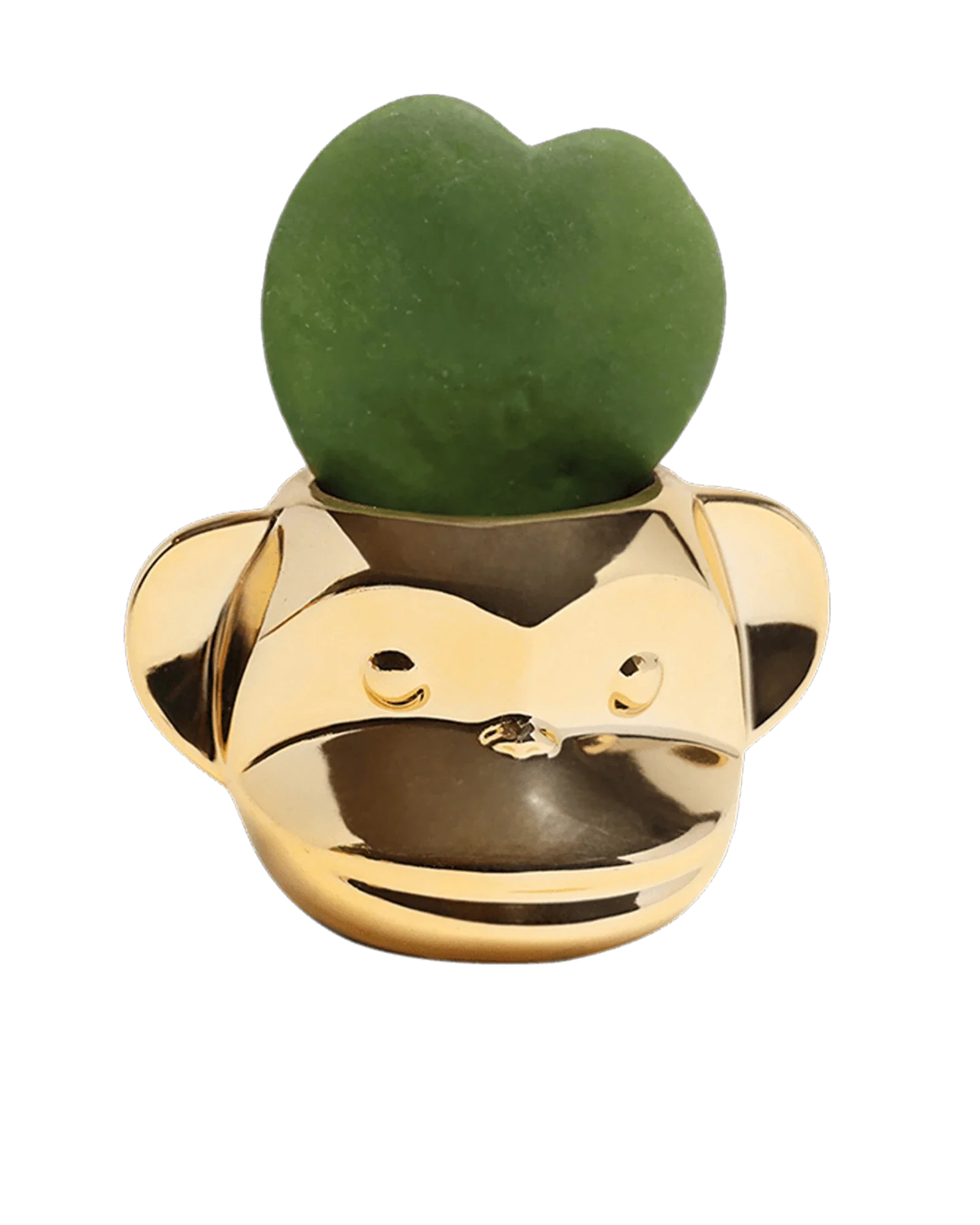 Funky Monkey Planter - Image 18