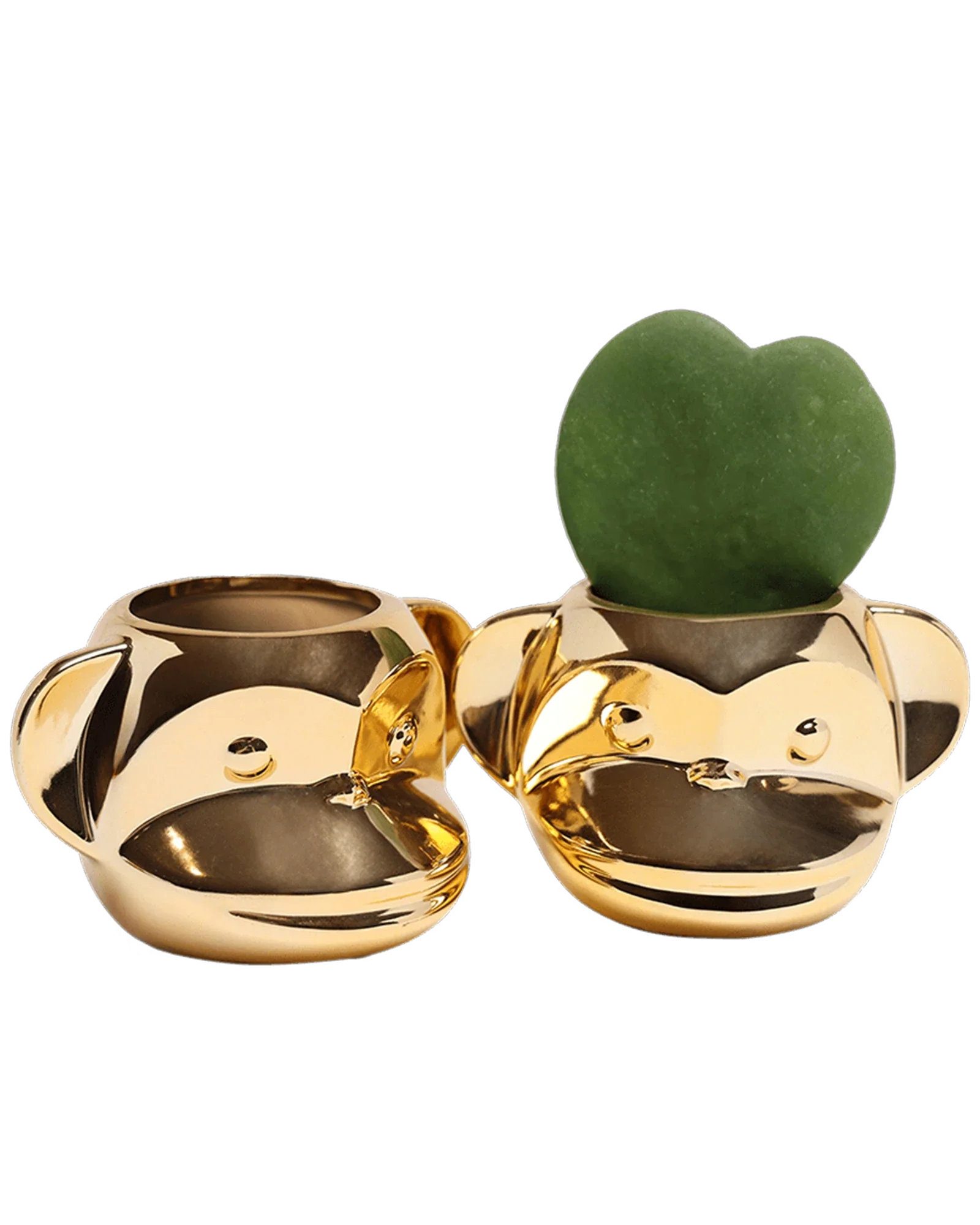 Funky Monkey Planter - Image 21