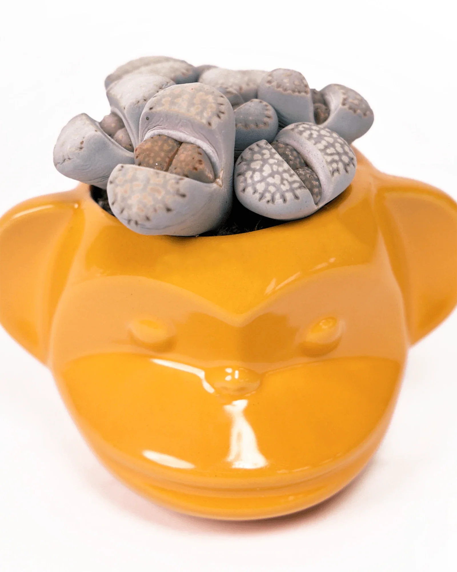 Funky Monkey Planter - Image 6