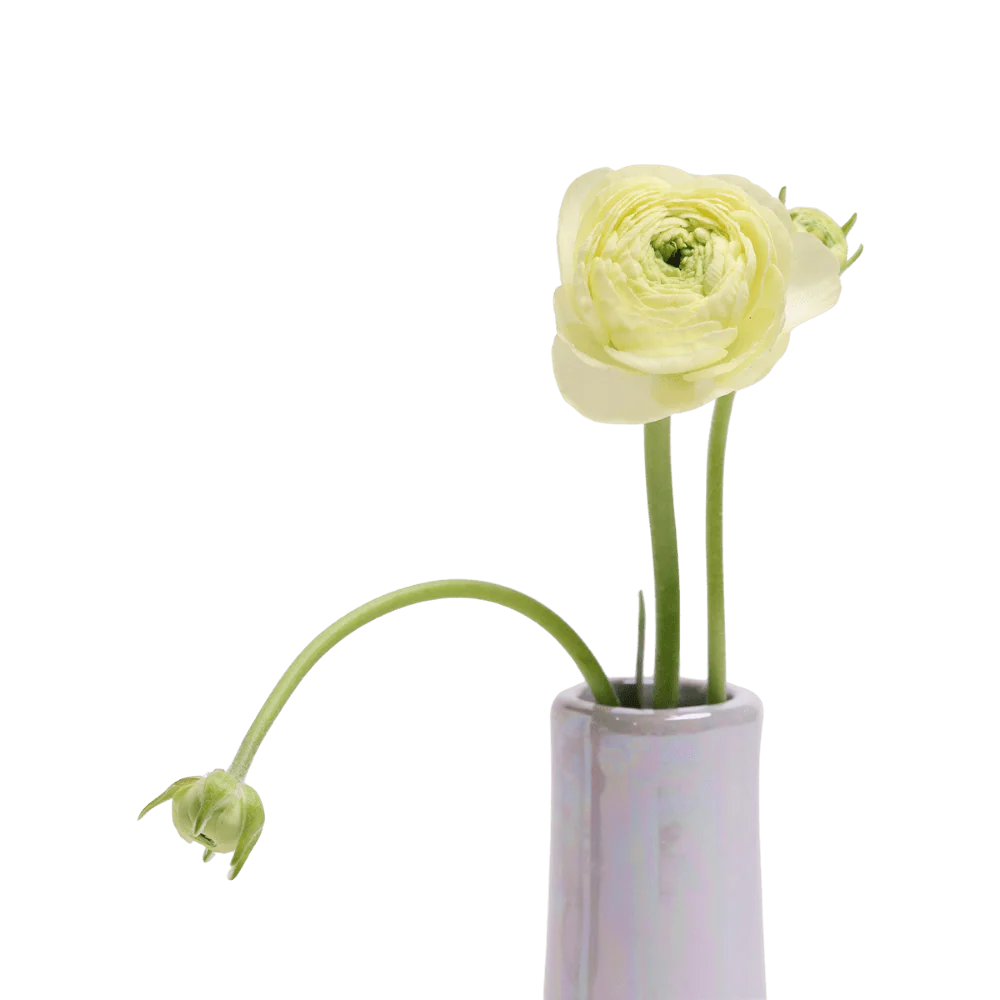 Galaxy Ceramic Bud Vase For Flowers - Image 21
