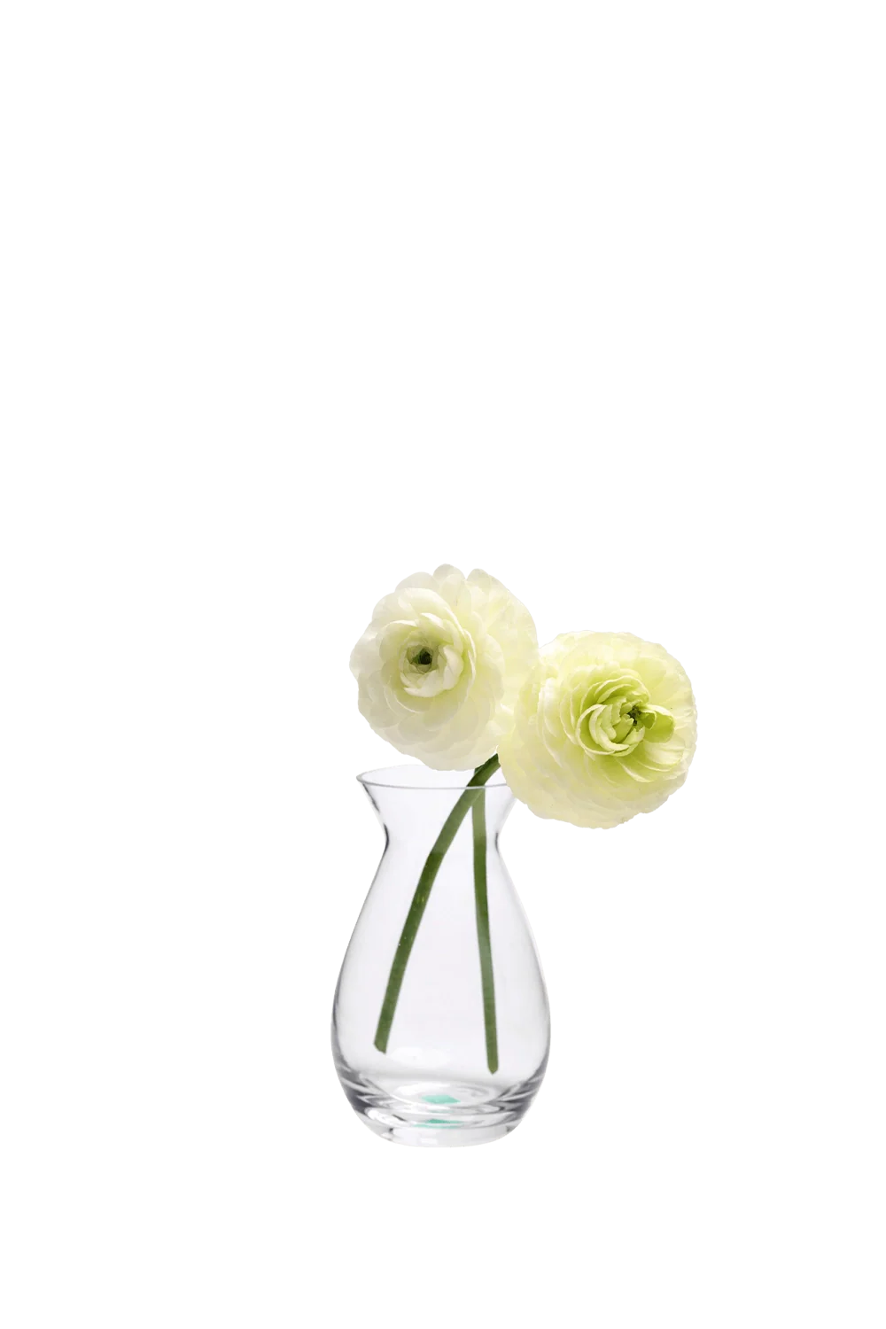 George Glass Clear Bud Vase For Flowers