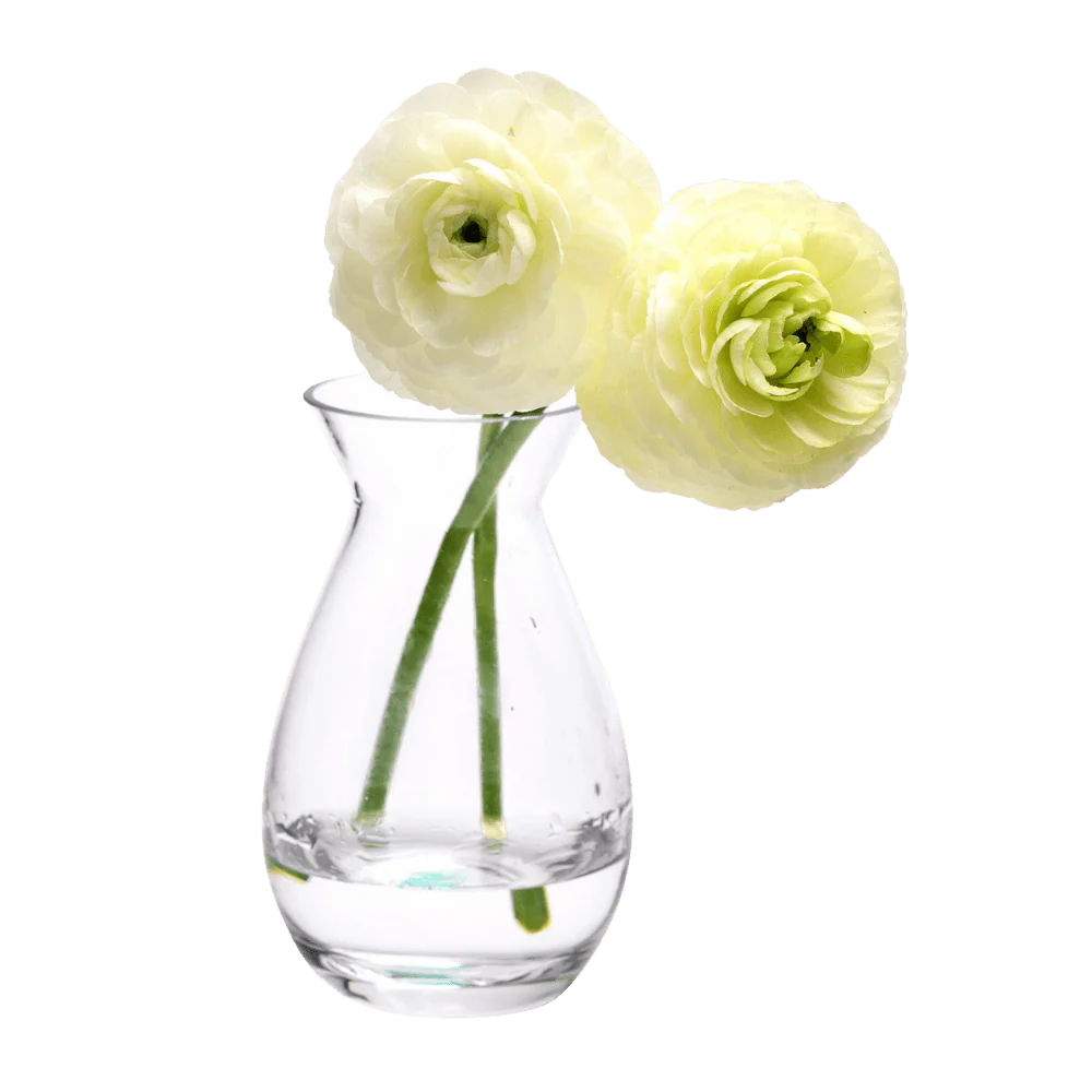 George Glass Clear Bud Vase For Flowers - Image 11