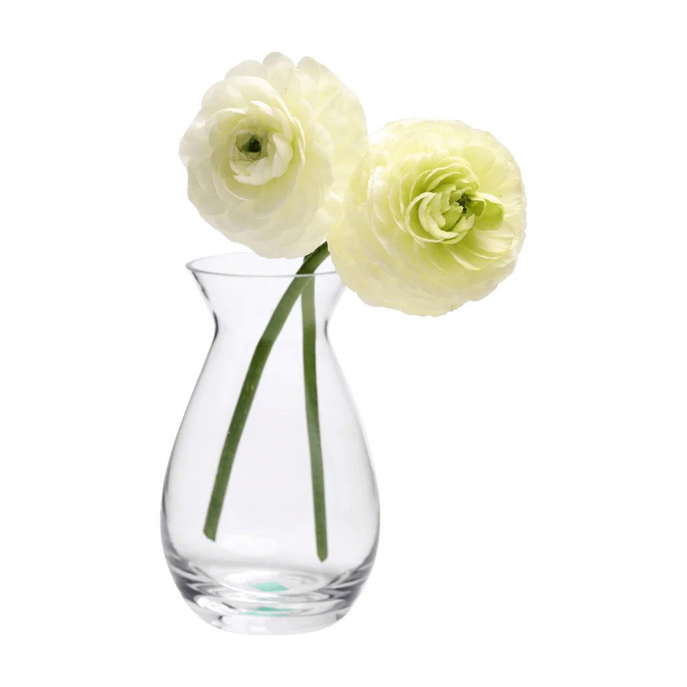 George Glass Clear Bud Vase For Flowers - Image 12