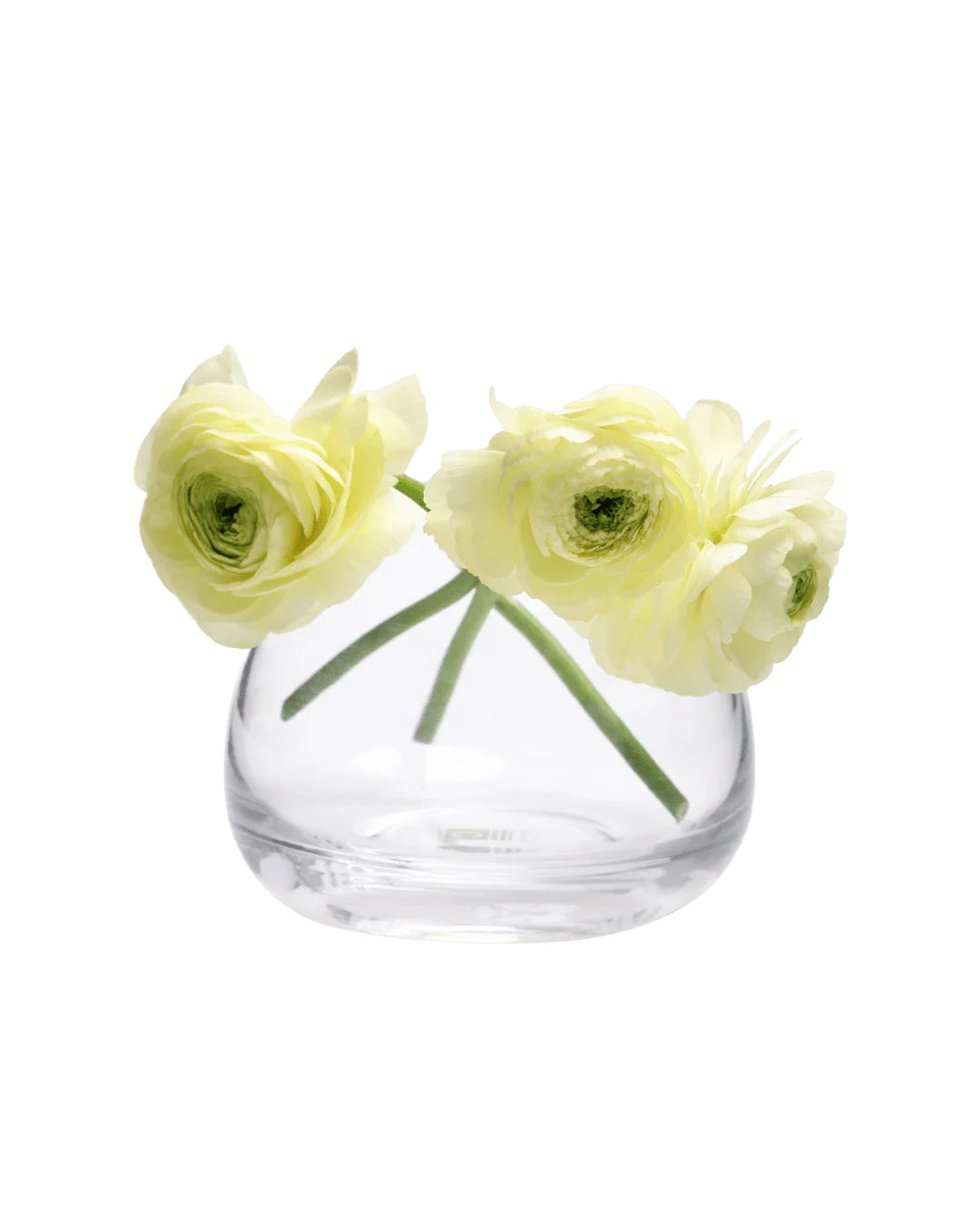 George Glass Clear Bud Vase For Flowers - Image 13