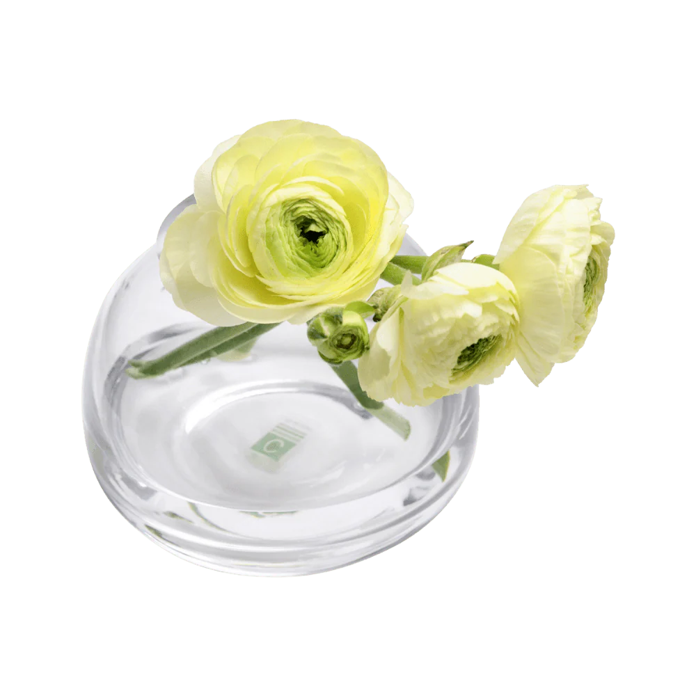 George Glass Clear Bud Vase For Flowers - Image 18