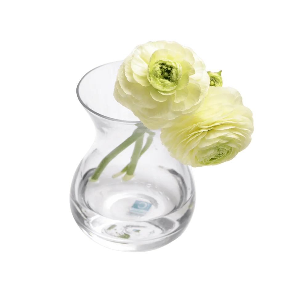 George Glass Clear Bud Vase For Flowers - Image 22