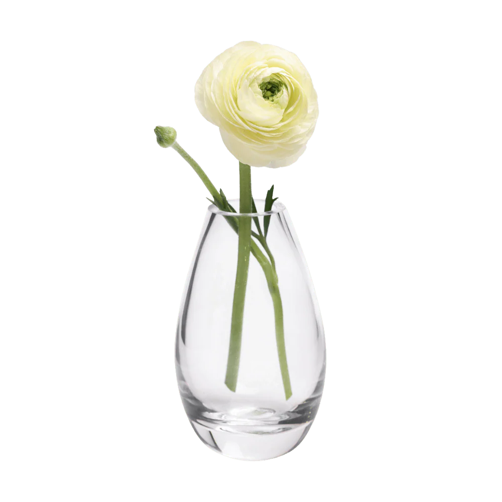 George Glass Clear Bud Vase For Flowers - Image 25