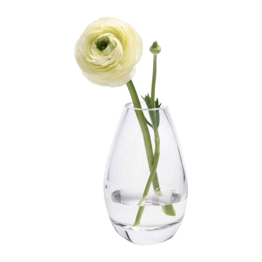 George Glass Clear Bud Vase For Flowers - Image 26